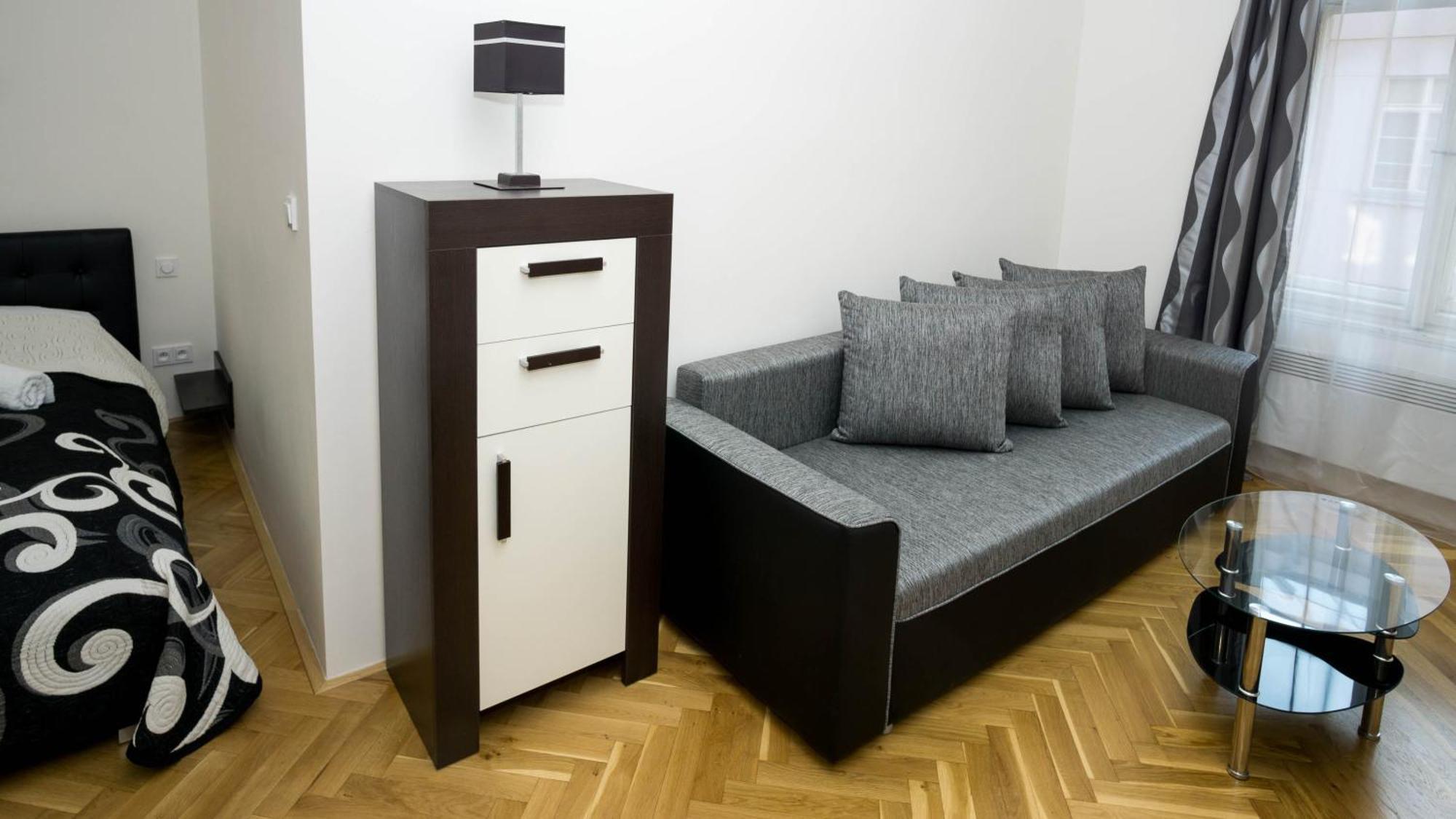 Black & White Apartment Prague By Wenceslas Square And Muzeum 객실 사진