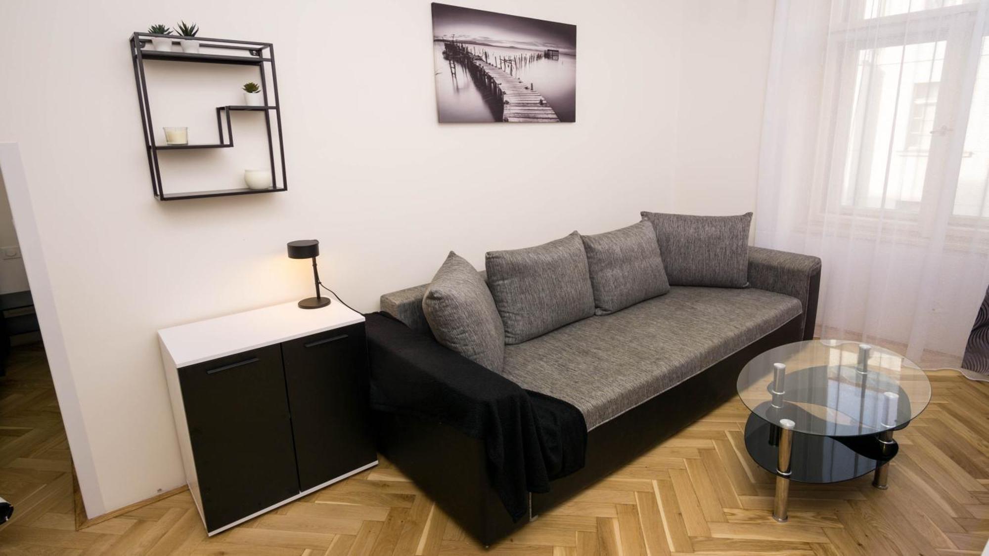 Black & White Apartment Prague By Wenceslas Square And Muzeum 객실 사진